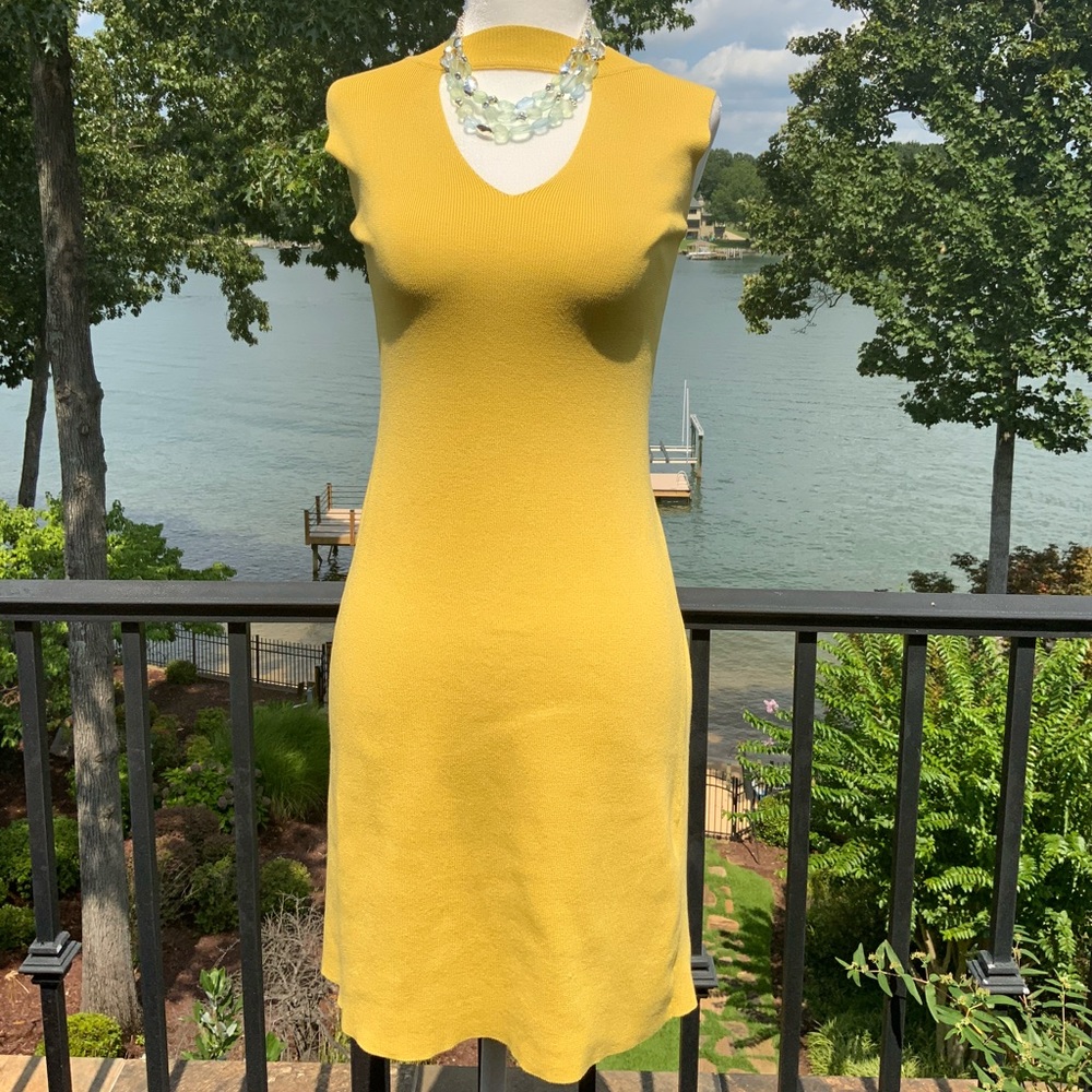 Wishlist Gold Knit Dress - Picture 4 of 6